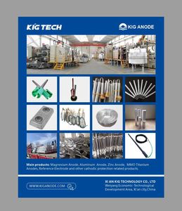 Electrodo <span class=keywords><strong>de</strong></span> referencia <span class=keywords><strong>de</strong></span> <span class=keywords><strong>zinc</strong></span> para anticorrosión - Product Image 5