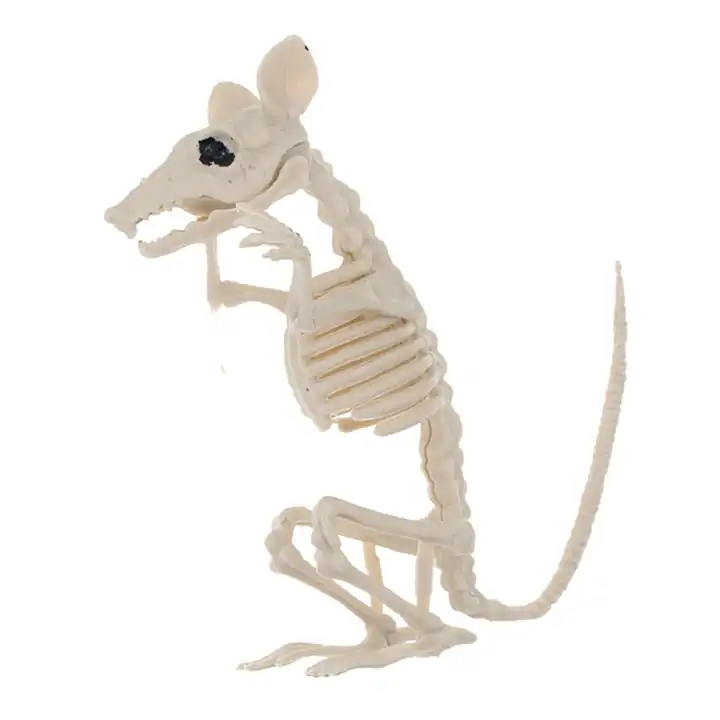Faux Squelette Chauve-Souris Rat Spider Animal Fête Prop pour