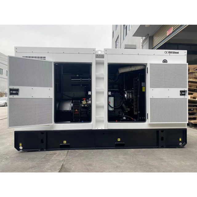 LETON POWER Silent Diesel Generator 200kVA 50/60Hz Auto Start ATS 1800 RPM Soundproof Canopy