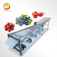Machine de tri et de lavage automatique de tomates et de légumes ORME de qualité supérieure pour les usines de transformation des fruits, haute efficacité