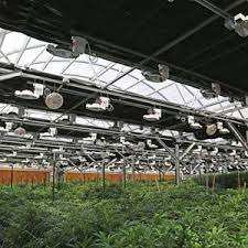 Invernadero Venlo Multi Span de policarbonato de tubería galvanizada para plantar/cría/exposición/experimento/investigación ecológica - Product Image 3