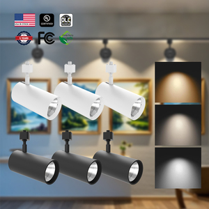 Hotel Store Home 5CCT Seleccionable 10W Htype Cct Led Track Head Track Lights 2700K 3000K 5000K 20W 30W 40W LED Track Light Housing - Product Image 1