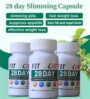 WELLBODY OEM/ODM Marque Privée Capsules Minceur Naturelles Halal de Qualité Alimentaire 28 Jours Fournisseur d'Usine pour Adultes