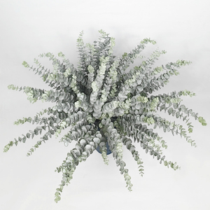 Rami di Eucalipto Artificiale Opaco per Decorazioni Domestiche, Composizioni Floreali, Decorazioni per Feste, Fogliame Finto all'Ingrosso - Product Image 1