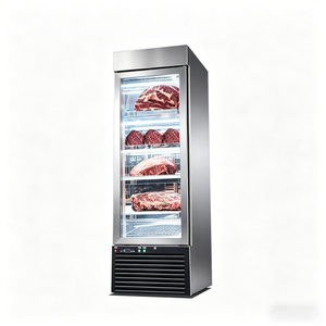 Réfrigérateur de maturation à porte unique |   Machine de maturation de viande de bœuf avec contrôle numérique, armoire de maturation de viande à refroidissement ventilé - Product Image 4