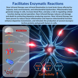 ZJZK helm infra merah 1070nm, helm terapi cahaya merah kesehatan otak untuk perawatan Stroke dan rehabilitasi neurologis - Product Image 2