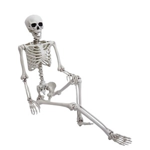 Halloween Đạo Cụ Đáng Sợ Trang Trí Nhựa Lớn Đầy Đủ Cuộc Sống Kích Thước Halloween <span class=keywords><strong>Skeleton</strong></span> Cho Ngôi Nhà Ma Ám - Product Image 2