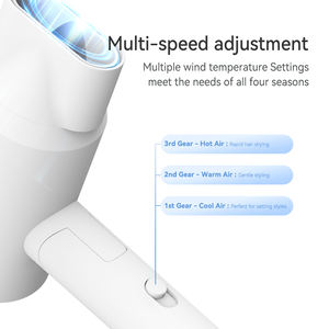 FL-1302 fabbrica personalizzato Logo elettrico Mini portatile asciugacapelli pieghevole a ioni negativi per alberghi - Product Image 4