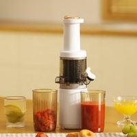 Aangepaste Fabriek Direct Sap Extractor Mini Draagbare 0.3l Elektrische Fruit Citroen Citrus Sinaasappel Koude Pers Slow Juicer