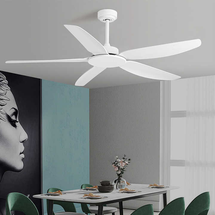 Low Price Wholesale 58 Inch Pure Copper DC Motor Remote Control Silent Modern ABS 5 Blades Ceiling Fan