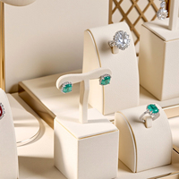 Présentoir à bijoux Zebopak, plateau de présentation blanc crème avec cadre doré, ensemble de présentation de bijoux pour la vente au détail, collier, bague, boucles d'oreilles, comptoir