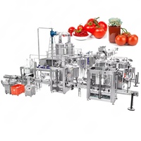 Nouvelle ligne de production de purée de tomate Gelgoog 100 kg/h, équipement de fabrication de purée de tomate de très petite taille, machine à purée de tomate
