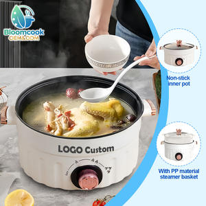 Cuisinière domestique Bloomcook OEM 2025 à haute efficacité solaire, contrôlée par application, chauffage rapide, antiadhésive, mini, portable, électrique, gaz, hôtel, camping-car, cuisine - Product Image 1