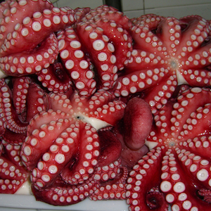 Mariscos Congelados al por Mayor, <span class=keywords><strong>Pulpo</strong></span> Vulgaris del Océano Oriental, Cocido, Entero, envasado IQF, Certificado HACCP/ISO, Listo para Comer, 4-10P/10KG - Product Image 3