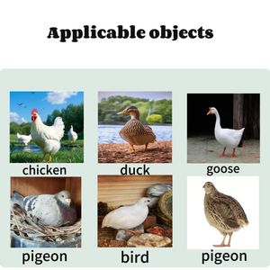 40% Broiler konsantre kanatlı hayvan yemi + 60% mısır zengin soya unu çeşitli <span class=keywords><strong>vitamin</strong></span> Amino asitler probiyotikler katkı Premix 25kg - Product Image 2