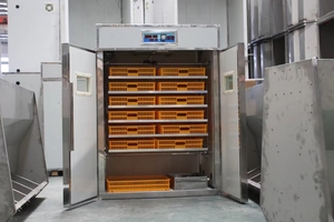 99% Schlupf rate Eierb rutsch ränke Automatischer Geflügel-Hühnerei-Inkubator - Product Image 5