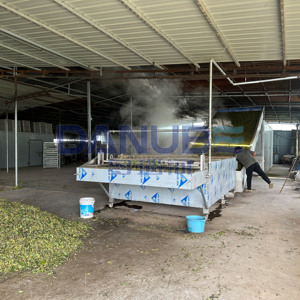 Secadora de malla para madreselva a precio de fabricante, línea de procesamiento de limpieza y secado de madreselva - Product Image 2