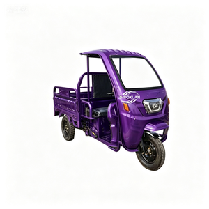 Open Type 3 Wheel Electric Vehicle <b>Passenger</b> Cargo Dual Use School Pickup Trike - Product Image 3