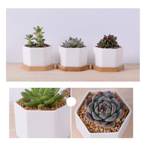 Vasi per <span class=keywords><strong>Piante</strong></span> da Interno Esagonali in Stile Nordico a Basso Prezzo, Piccoli Vasi in Ceramica Bianca per Succulente Miniature - Product Image 4