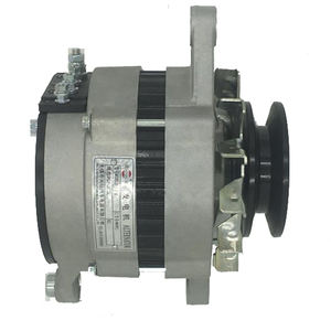 <span class=keywords><strong>REPUESTOS</strong></span> DEL MOTOR FAWDE 1003010BB01-0000X CULATA 1003022BB41-0000 JUNTA 1003032BB01-0000 GUÍA DE GOMA 1007032-B01-0000P - Product Image 3