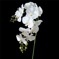 Réaliste orchidée avec sol pot orchidée artificielle en pot pour la décoration de jardin