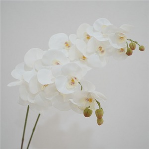 Flores <span class=keywords><strong>de</strong></span> tacto real <span class=keywords><strong>Flor</strong></span> <span class=keywords><strong>de</strong></span> imitación Orquídea artificial Orquídea <span class=keywords><strong>de</strong></span> seda blanca <span class=keywords><strong>Planta</strong></span> Phalaenopsis Flores para la decoración del hogar - Product Image 2