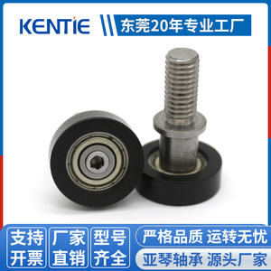 Rodillos de Tornillo Especiales con Rodamientos Recubiertos DR22C18L17 para Ruedas M8*22 de Producción Profesional del Fabricante - Product Image 5