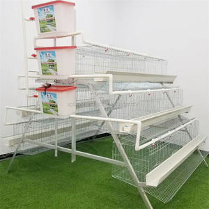 Jaula para 96 Aves de Bajo Costo con Carro de Alimentación, Jaulas en Capas para Gallinas Ponedoras, Jaula para Granja Avícola - Product Image 2