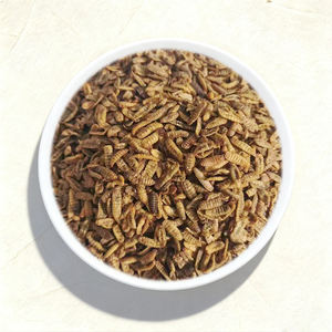 Larvas de Mosca <span class=keywords><strong>Soldado</strong></span> Negra Secas y Tostadas Bioforte, Alto Contenido de Proteína, Inodoras, para Mascotas, Pollos y Patos, Ingredientes Naturales y Orgánicos - Product Image 1