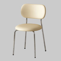 Lumière italienne luxe Post-moderne loisirs Design ménage Restaurant meubles en métal Silla De Comedor avec pieds en métal dossier