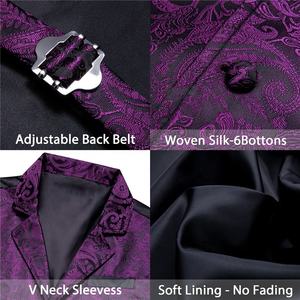 Set Gilet e Cravatta in Seta per Uomo Stile Vittoriano Personalizzato, Colletto su Misura, Motivo Paisley, Gilet Gotico Steampunk per Occasioni Formali/Casual - Product Image 6