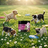 Personnalisation OEM : Friandises à mâcher multivitaminées pour chiens avec glucosamine, chondroïtine et probiotiques pour le soin des articulations des chiots et le soutien intestinal