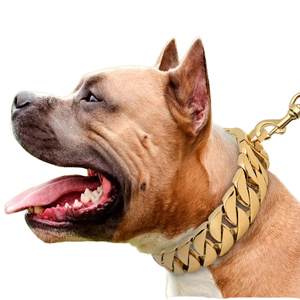 Collar de Perro de Lujo de Acero Inoxidable 316L de 18K con Cadena de Metal Dorado Sólido de Liberación Rápida y Placa de Identificación Personalizable - Product Image 1