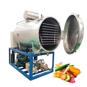 Haute Performance Fruits Légumes Figue Mangue Citron Gombo Mûrier Lyophilisation Machine Lait Miel Lyophilisateur - Product Image 1