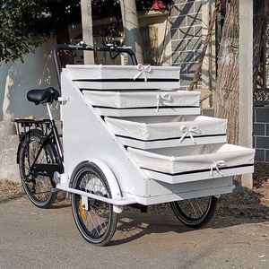 <span class=keywords><strong>Bicicleta</strong></span> eléctrica de carga con cesta, venta al por menor, 3 ruedas - Product Image 4