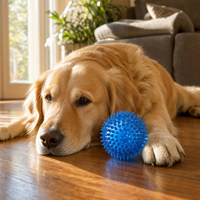 Balle à mâcher interactive moderne pour chien en TPR, résistante, pour le nettoyage dentaire, disponible en 2 tailles
