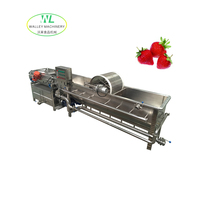 China Groenteverwerkingsfabriek Fruitbellenwasmachine met motor en pomp Multifunctioneel