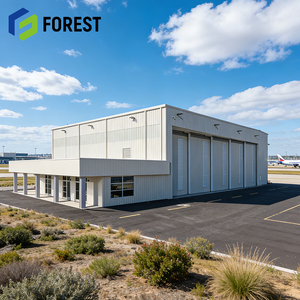 Hangar Prefabricado de Acero de Alta Calidad y Durabilidad, Resistente al Fuego, para Logística Aeronáutica, Precio Competitivo - Product Image 1