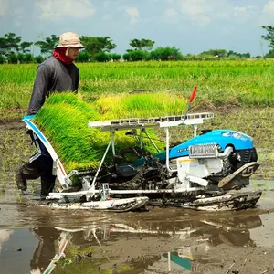 Kiston manual rice transplanter 2 rows rice transplanter machine seeders & transplanters rice planter for farm