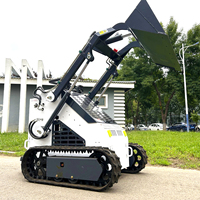 Made in China Factory Crawler Kompakt lader Hydraulische Räder Lader Mini Dumper Landschafts bau mit multifunktion alen Anbaugeräten