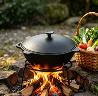 Marmite en fonte pré-assaisonnée grande capacité pour cuisinière à gaz, écologique, pour ragoûts, chasse, barbecue et cuisson en extérieur