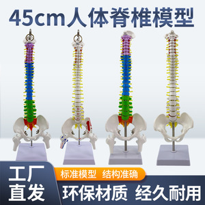 45CM - Product Image 2
