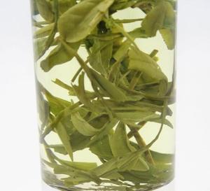 Чай с зелеными листьями Cha ye Digestant Folium Gemmae Camellia Sinensis - Product Image 4