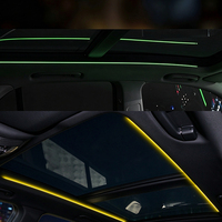 Applicable aux Mercedes Benz GLE GLS X167, lumière ambiante LED pour toit ouvrant, lampe d'ambiance pour l'intérieur de la voiture