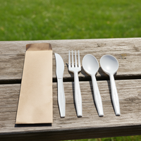 Vaisselle jetable écologique compostable biodégradable en CPLA, couteau, fourchette, cuillère, directement de l'usine, pour la restauration