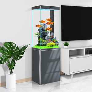 2026 New Model Small Floor-standing Household Goldfish Tank Living Room Ultra-clear Glass Vertical Square Ecological <strong>Aquarium</strong> - Product Image 2