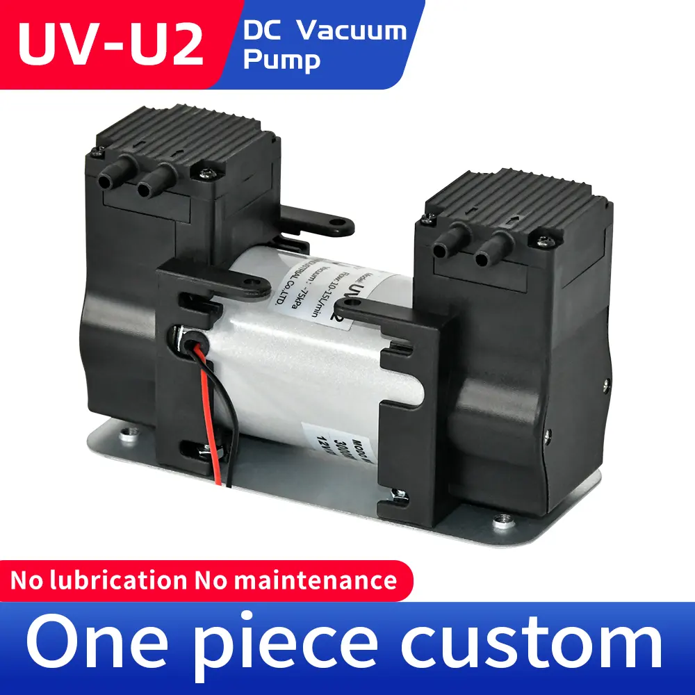 UV-U2 kleine DC Doppel pumpe Vakuum 12V/24V/220V Mini Vakuum Luftpumpe geräuscharm