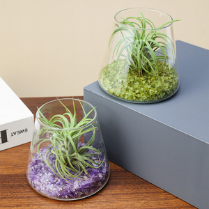 Kit de terrarium en <span class=keywords><strong>pierre</strong></span> brute de cristal naturel en gros pour plantes <span class=keywords><strong>a</strong></span>ériennes, idéal pour la décoration de bureau à domicile et comme cadeau de guérison spirituelle - Product Image 4