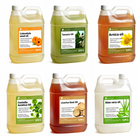 Minyak Tanaman Berinfus Calendula Tamanu Arnica Centella Asiatica Akar Licorice Minyak Lidah Buaya untuk Perawatan Kulit Pijat
