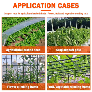 أعمدة دعم نباتات من الألياف الزجاجية الصلبة المضادة للشيخوخة، أعمدة FRP للحدائق/دعم الأشجار، أعمدة الطماطم - Product Image 5